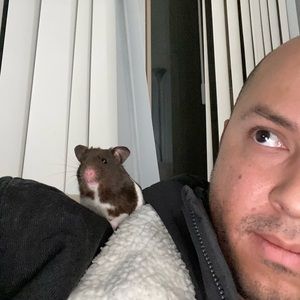 Meet your Posher, Desmond